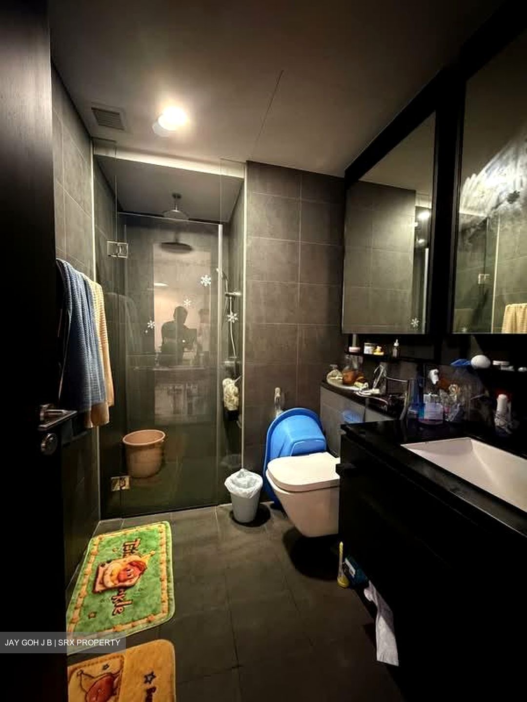 Park Colonial (D13), Condominium #569997751